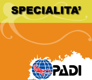 Image-pulsante-corsi-di-specialità