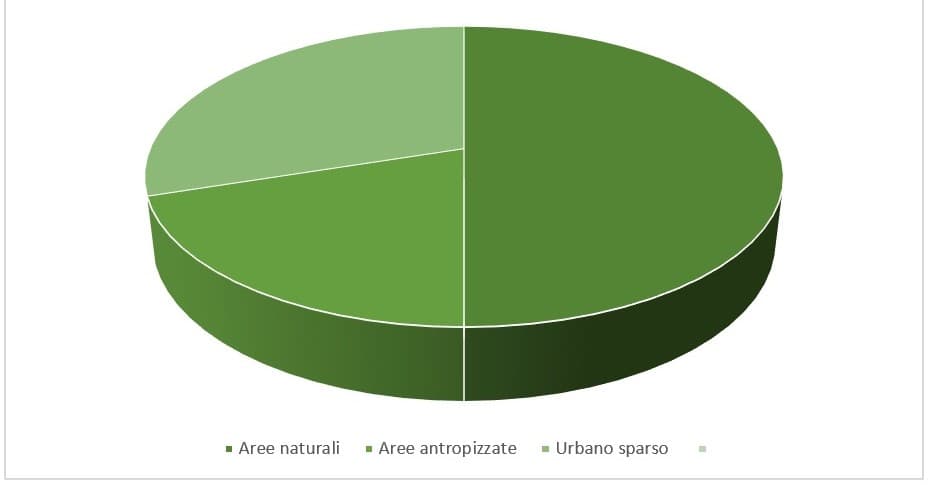 Grafico linea di retrospiaggia