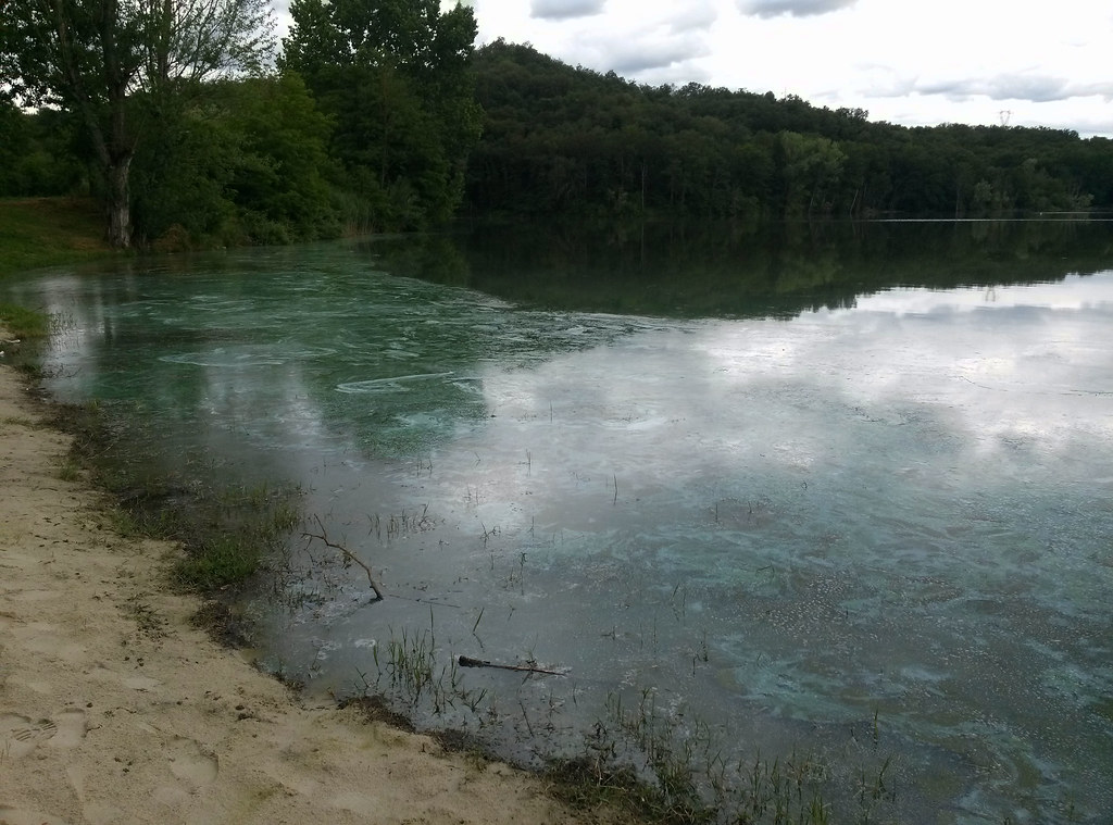 Fioritura algale lago di San Cipriano