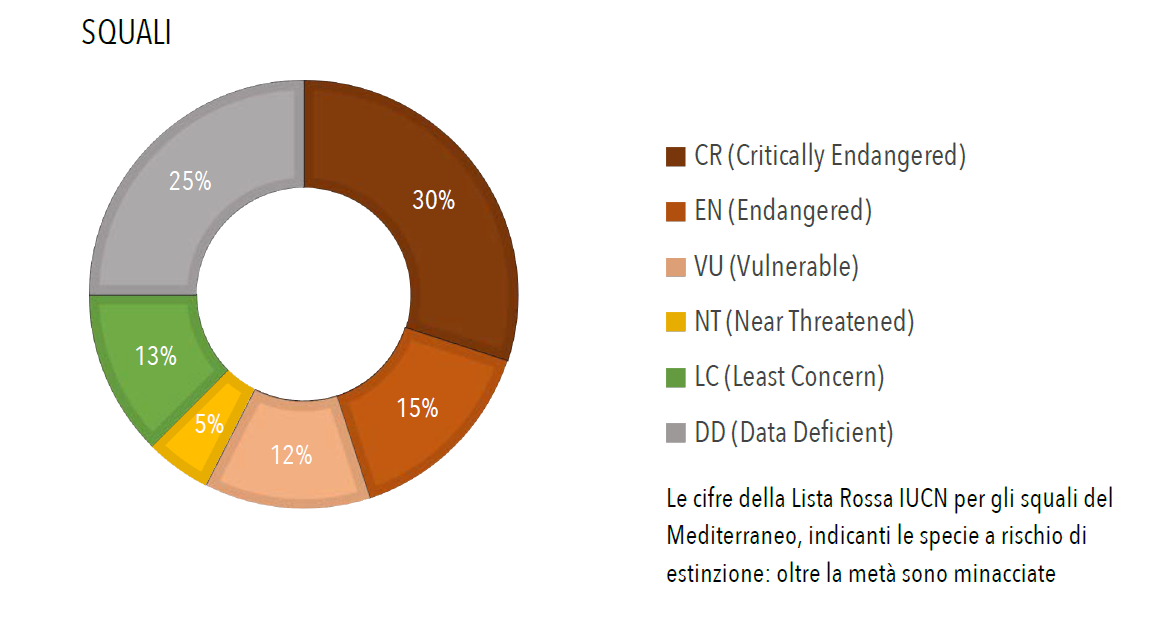 IUCN Mediterraneo