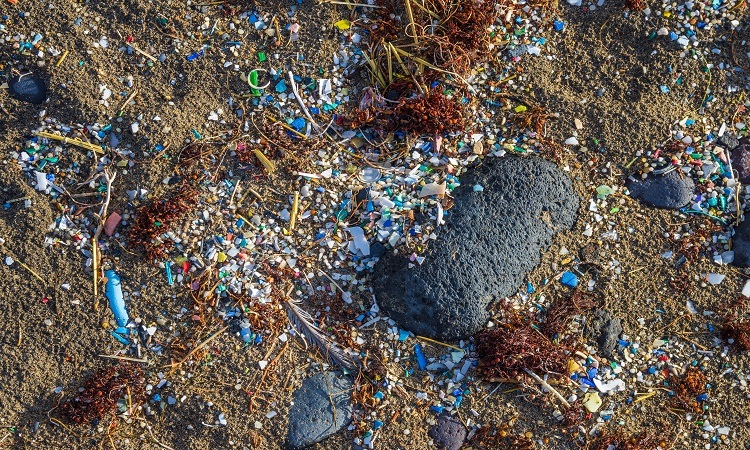 Microplastiche spiaggia