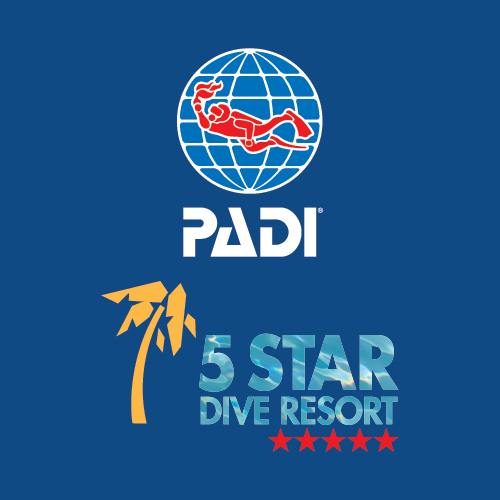 Tuttisub Logo PADI 5 Stelle