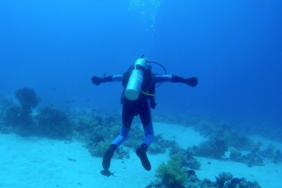 Open Water Diver DDI