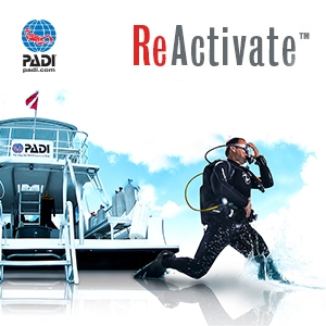 Reactive Padi