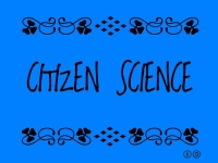 La Citizen Science: un nuovo modo per aiutare la ricerca