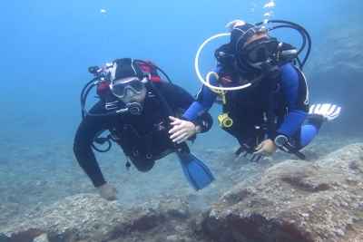 Assistant Diver