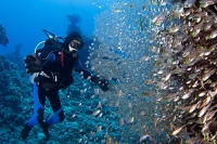 Advanced Open Water DiverseAbility