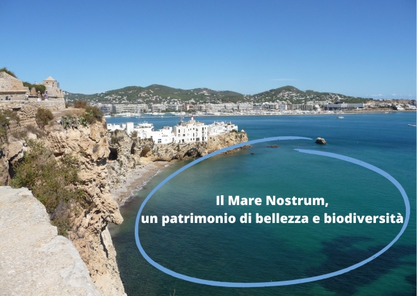 Il Mare Nostrum, un patrimonio di bellezza e Biodiversità