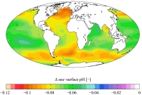 Acidificazione degli oceani: "l'altro problema" legato all'aumento di CO2