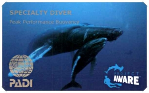 Peak perfomance buoyancy